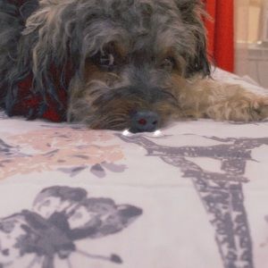 Meet your Posher, Tanya